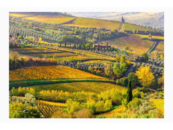 heart of tuscan hills photo tour © andrea bonfanti ph.