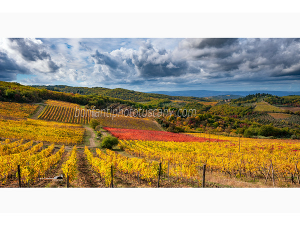 heart of tuscan hills photo tour © andrea bonfanti ph.