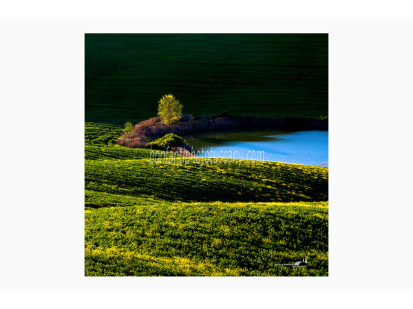 heart of tuscan hills photo tour © andrea bonfanti ph.