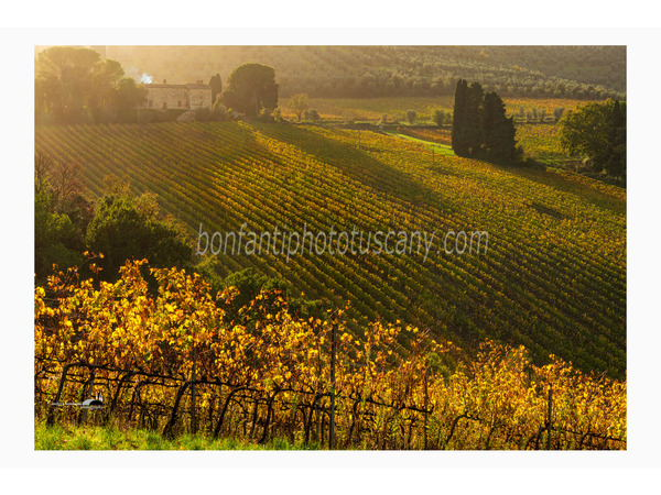 heart of tuscan hills photo tour © andrea bonfanti ph.