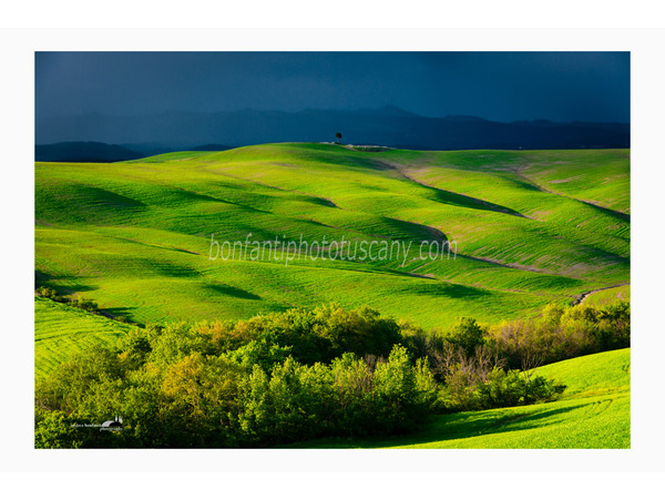 heart of tuscan hills photo tour © andrea bonfanti ph.