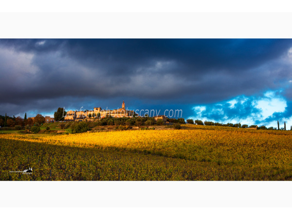 heart of tuscan hills photo tour © andrea bonfanti ph.