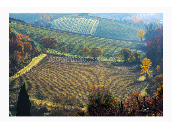 heart of tuscan hills photo tour © andrea bonfanti ph.