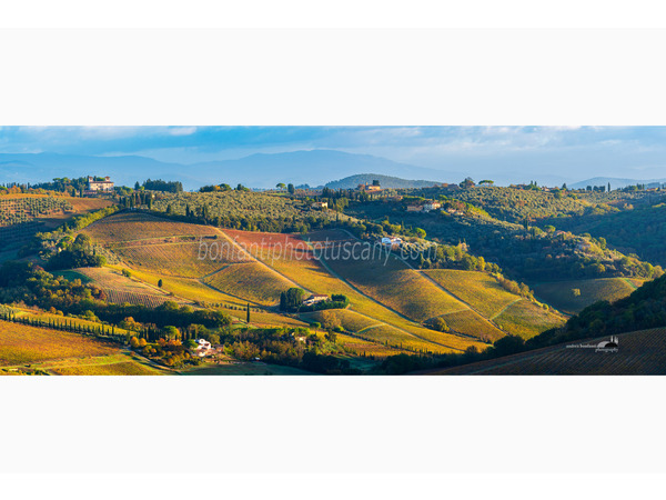 heart of tuscan hills photo tour © andrea bonfanti ph.