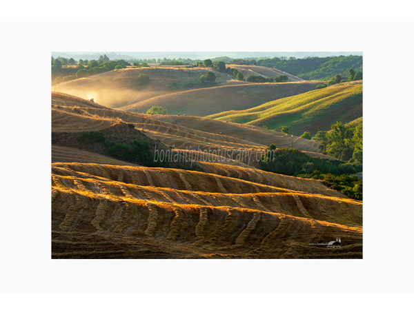 heart of tuscan hills photo tour © andrea bonfanti ph.