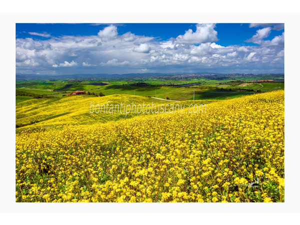 heart of tuscan hills photo tour © andrea bonfanti ph.